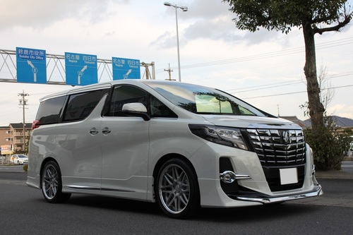 30アルファード に 深リム SSR ！プロフェッサーMS1 で ツライチ